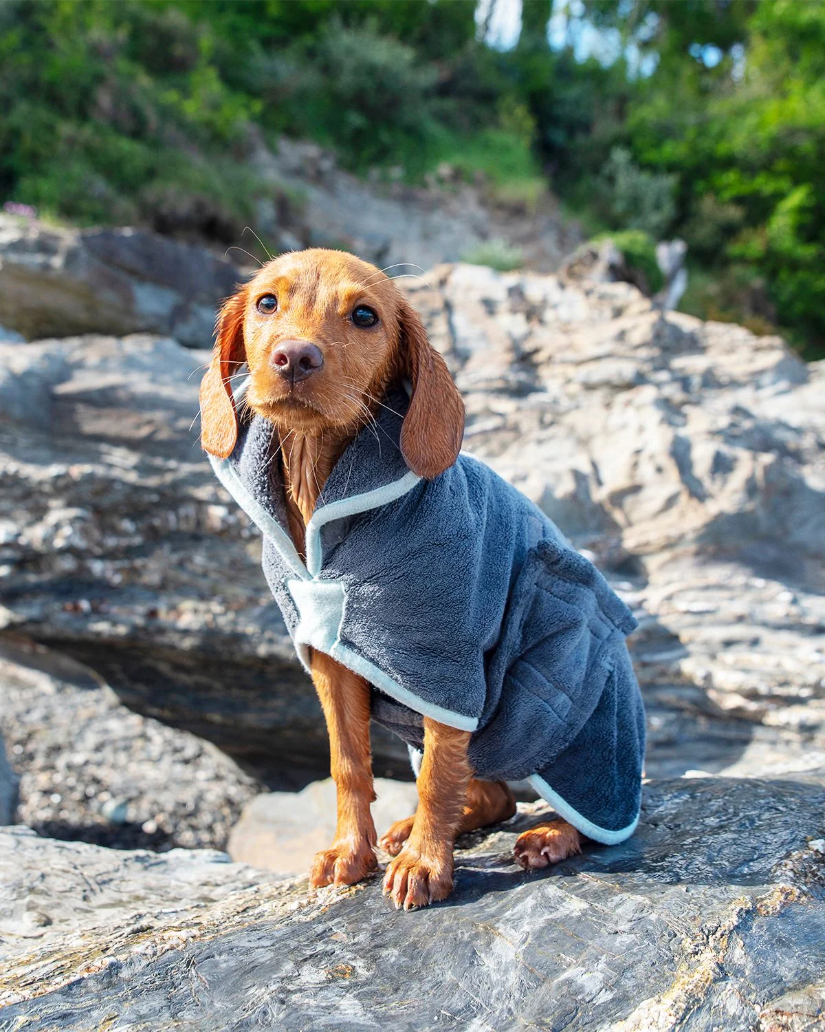 Henry Wag Drying Coat Grey/Blue (5 sizes) - Image 4