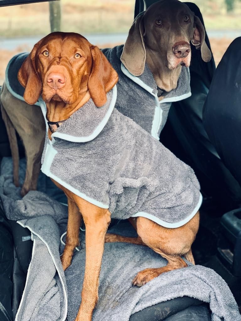 Henry Wag Drying Coat Grey/Blue (5 sizes) - Image 8