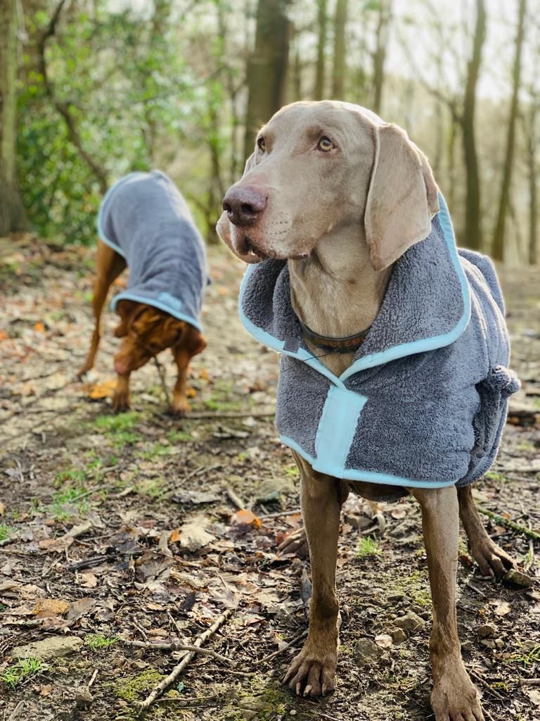 Henry Wag Drying Coat Grey/Blue (5 sizes) - Image 9