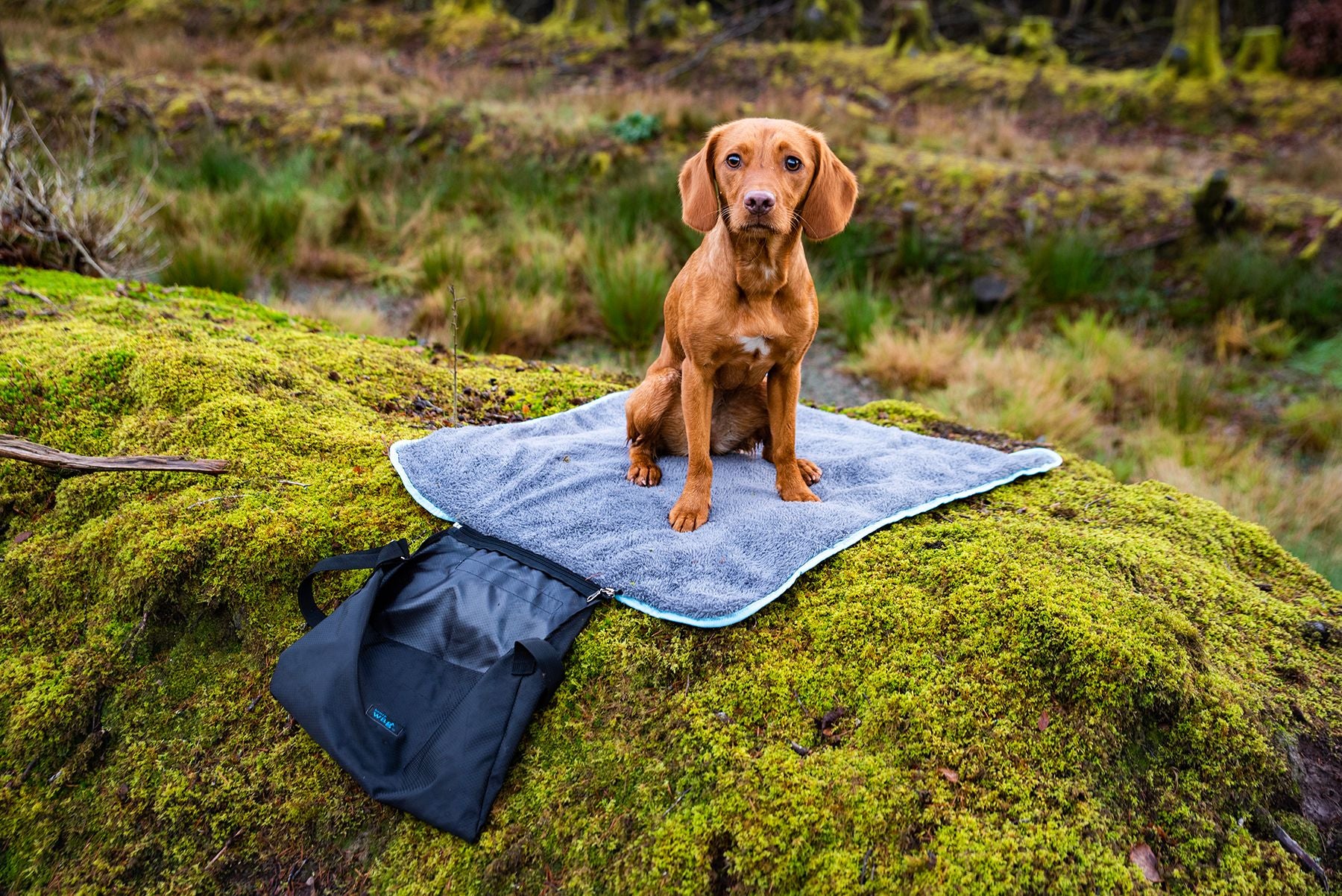 Henry Wag Easy Roll Travel Bed - Image 4