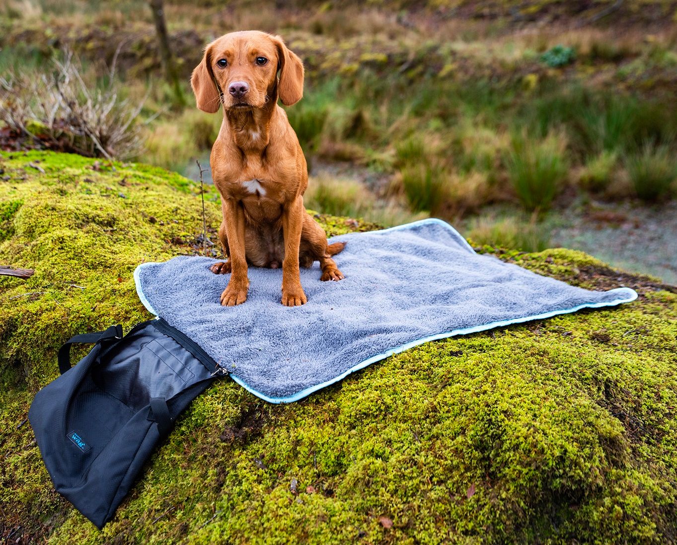 Henry Wag Easy Roll Travel Bed - Image 5