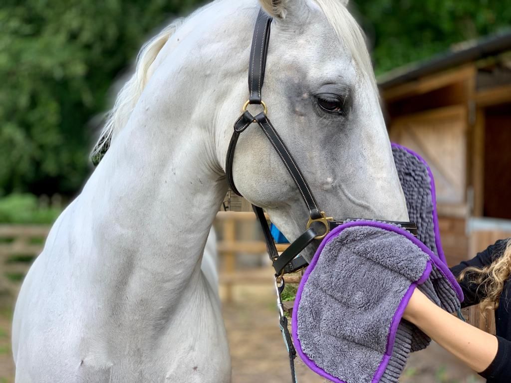 Henry Wag Equine Microfibre Noodle Glove Towel - Image 10