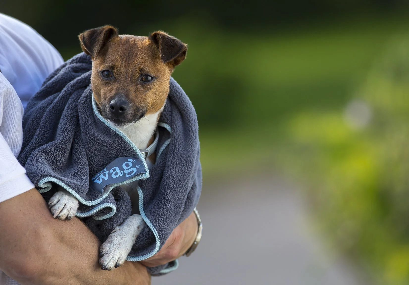 Henry Wag Microfibre Cleaning Towel - Image 5