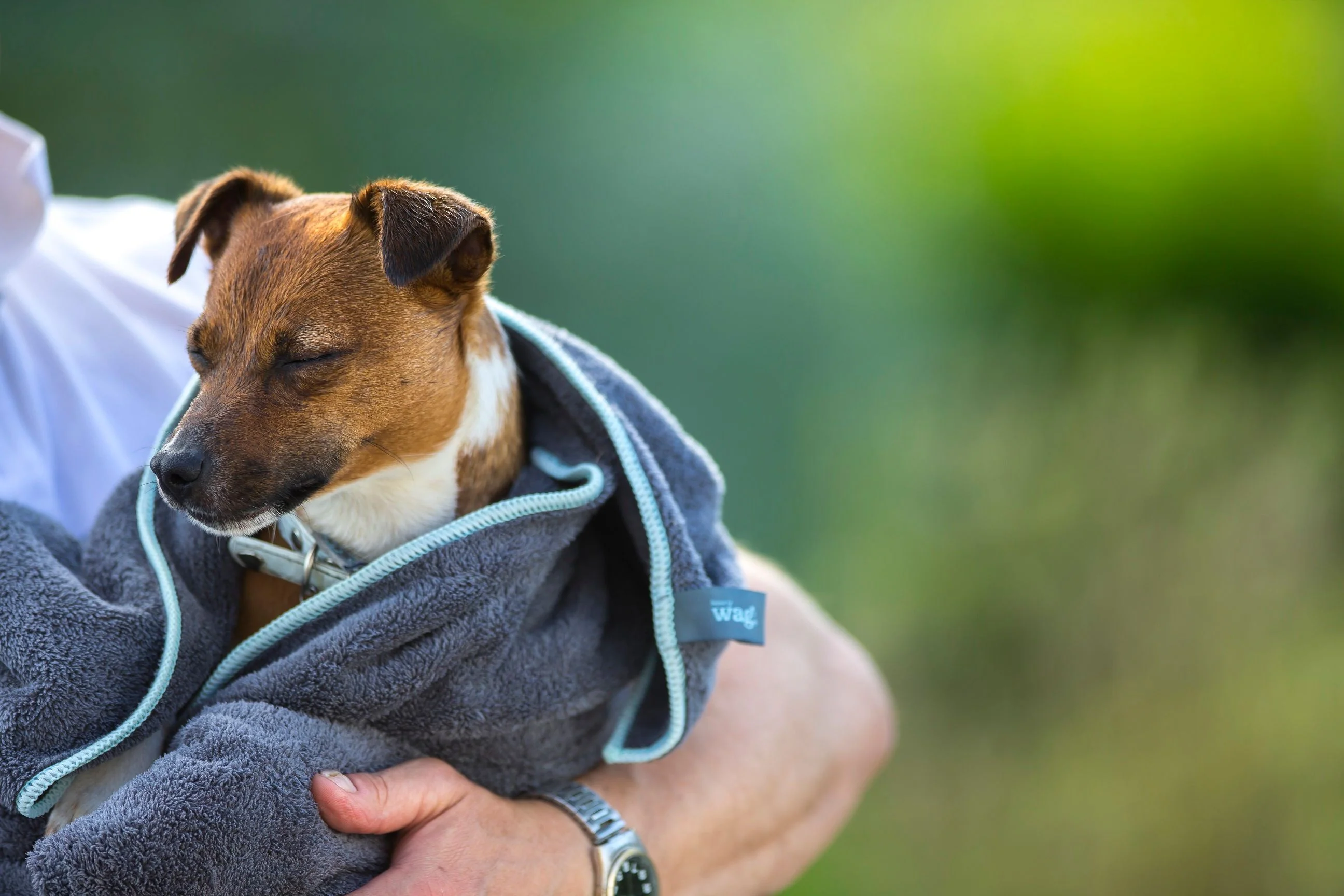 Henry Wag Microfibre Cleaning Towel - Image 6