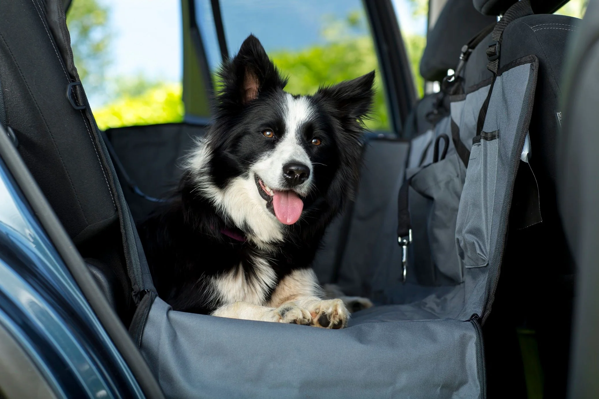 Henry Wag Pet Car Hammock - Image 2