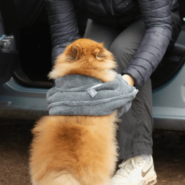 Henry Wag Pet Glove Towel - Image 9