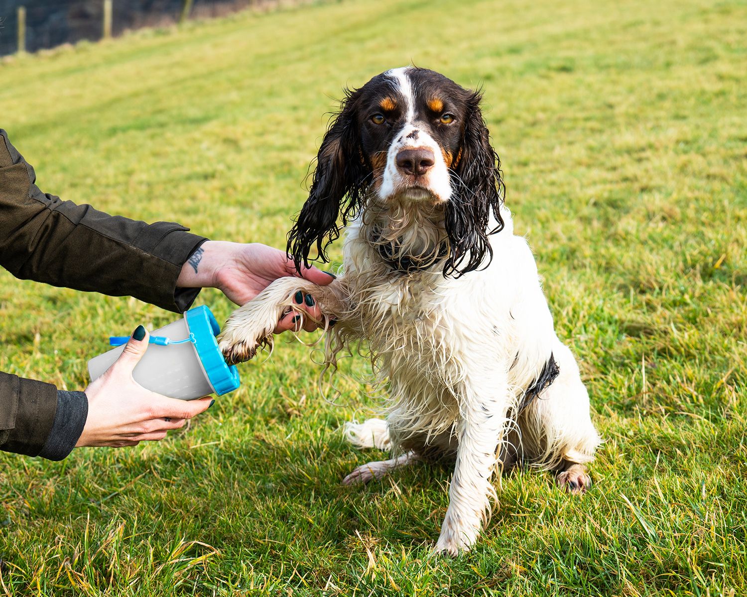 Henry Wag Pet Paw Cleaner - Image 12