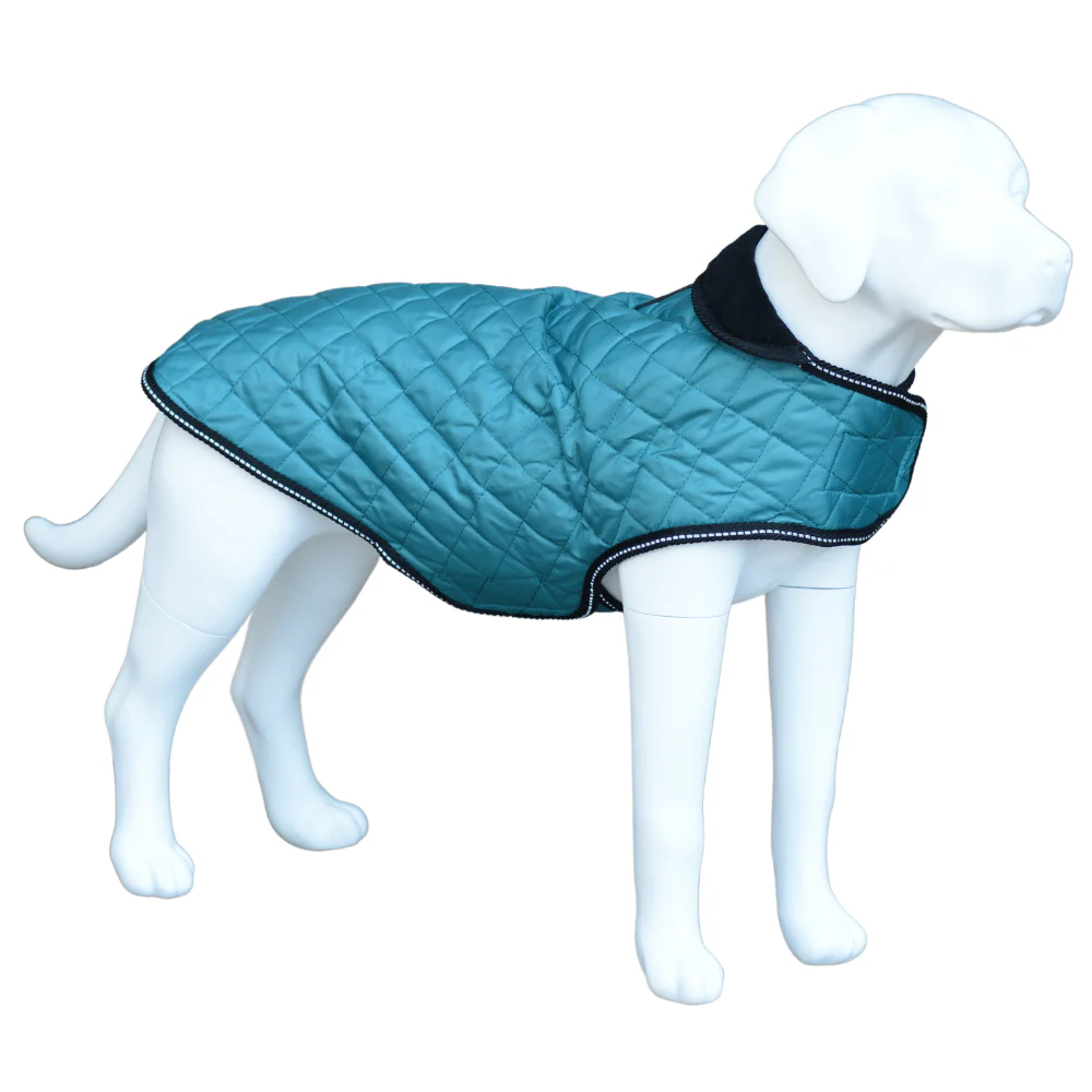 Henry Wag Quilted Dog Jacket Teal (5 sizes)