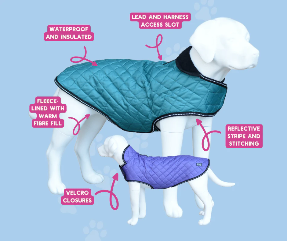 Henry Wag Quilted Dog Jacket Teal (5 sizes) - Image 3