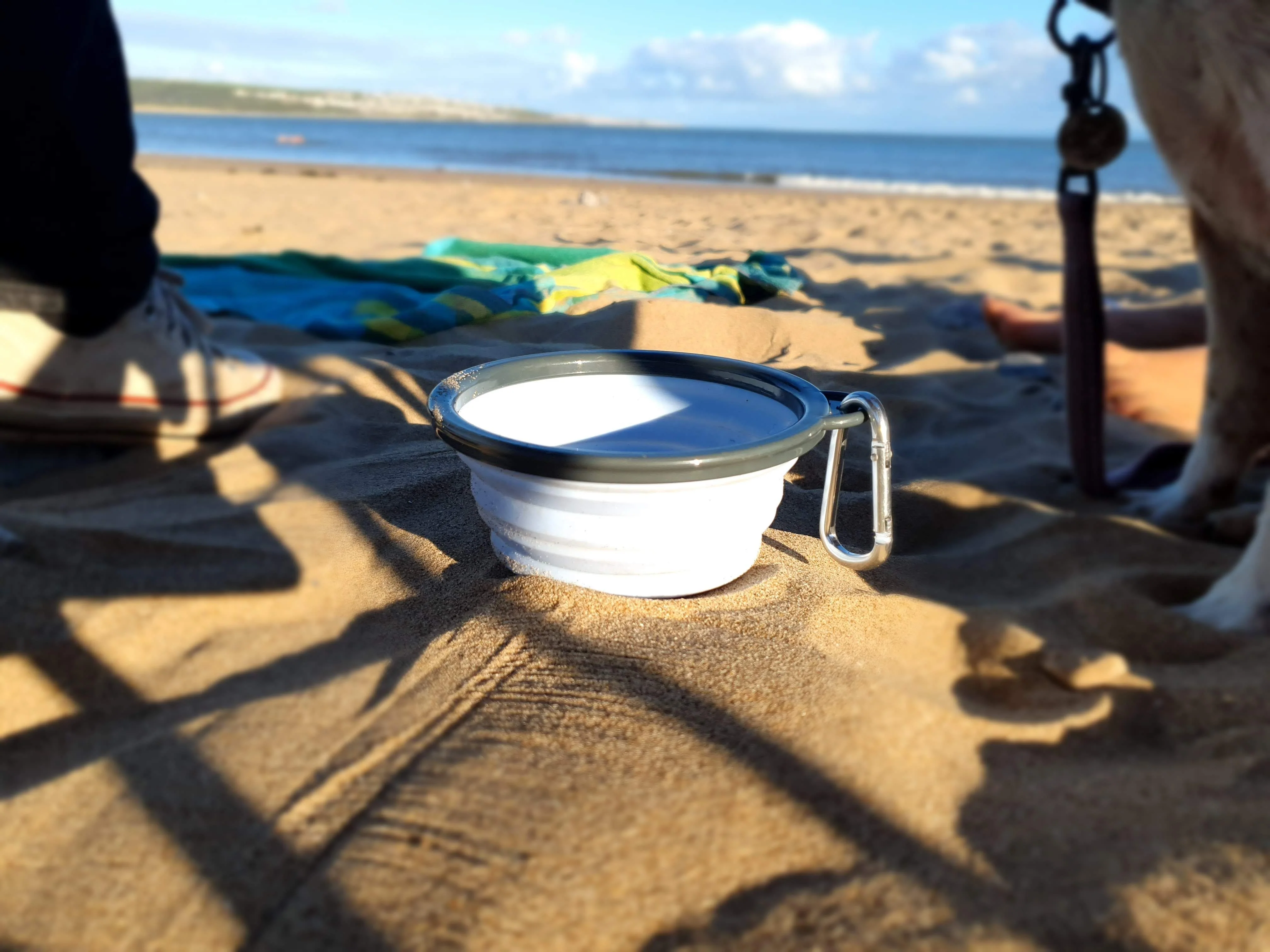 Henry Wag Travel Bowl (2 sizes) - Image 7