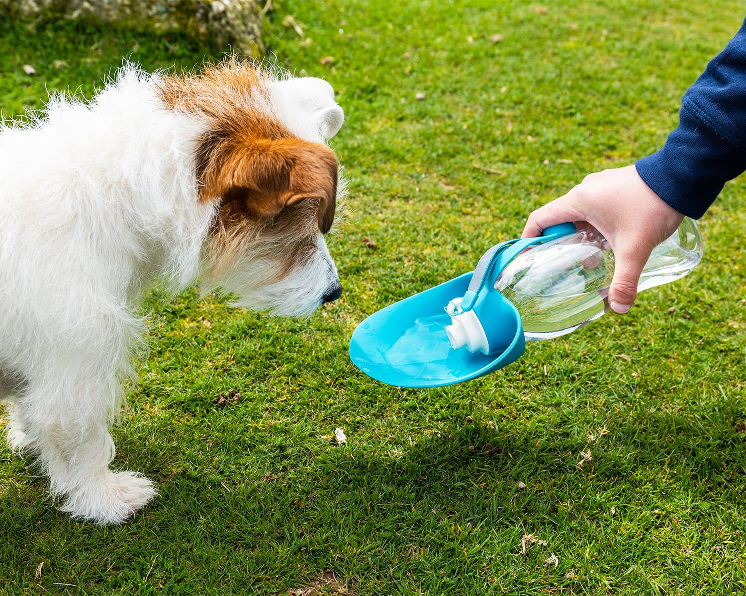 Henry Wag Water Bottle With Leaf Bowl Blue - Image 2