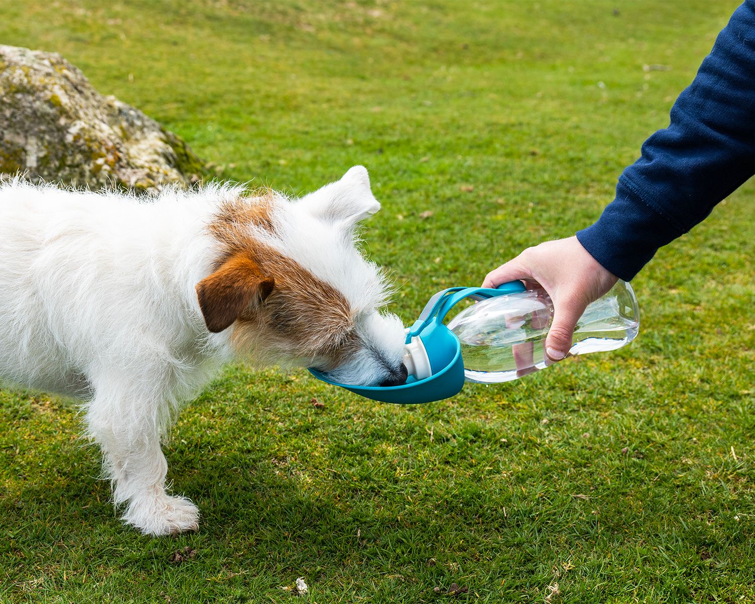 Henry Wag Water Bottle With Leaf Bowl Blue - Image 3