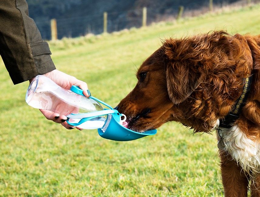 Henry Wag Water Bottle With Leaf Bowl Blue - Image 8