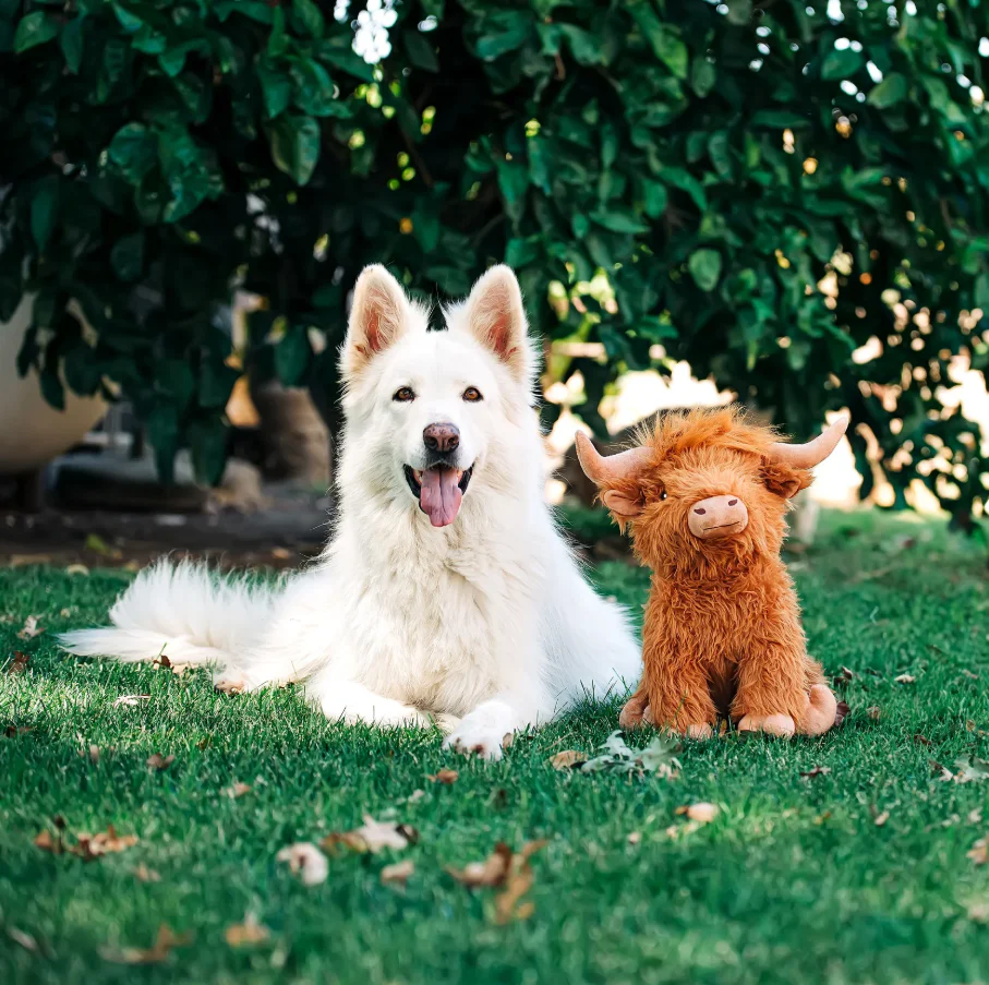 Highland Cow Jumbo Dog Toy - Image 3