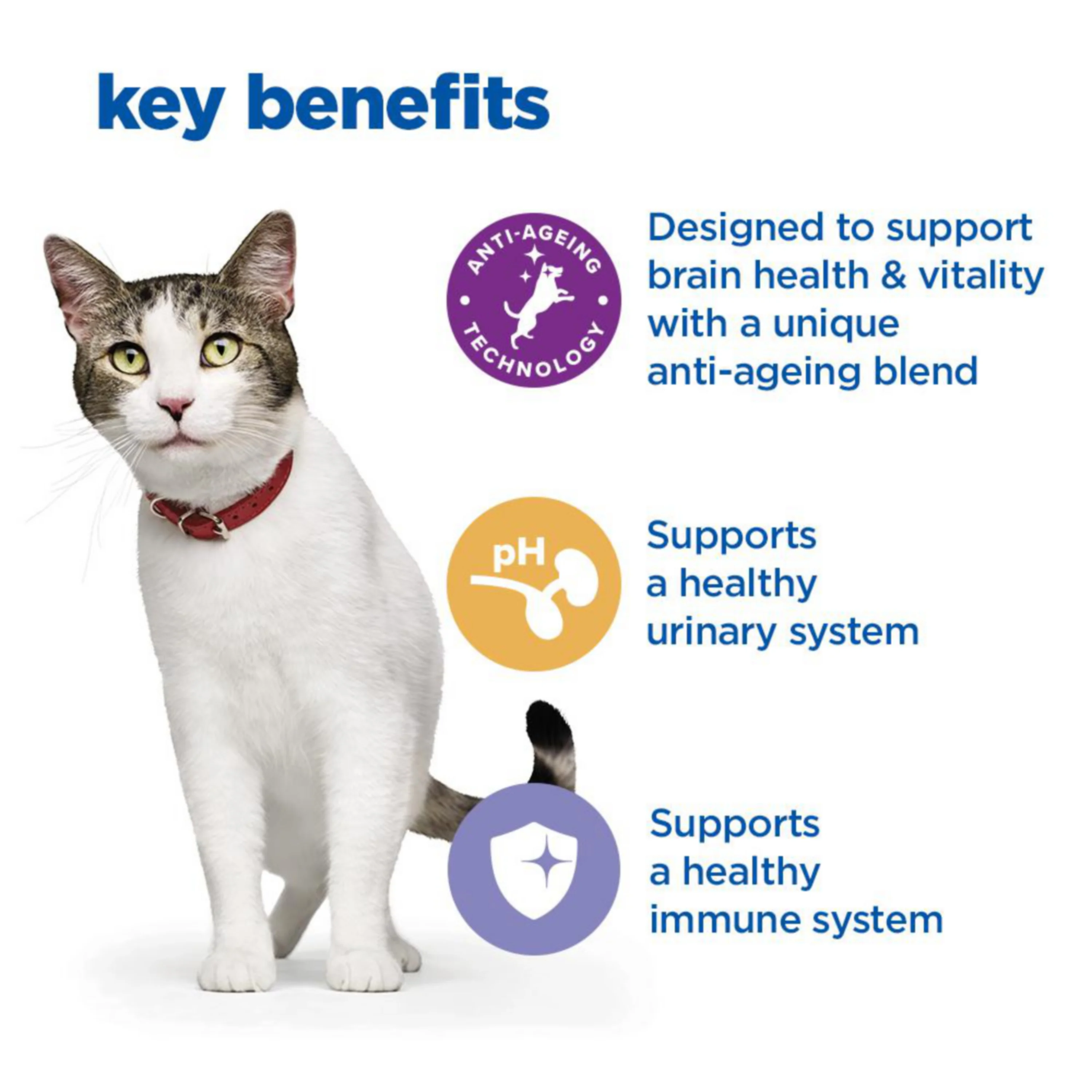 Hill’s Vet Essentials Multi-Benefit + Senior Health Cat Food with Chicken 1.5kg - Image 3
