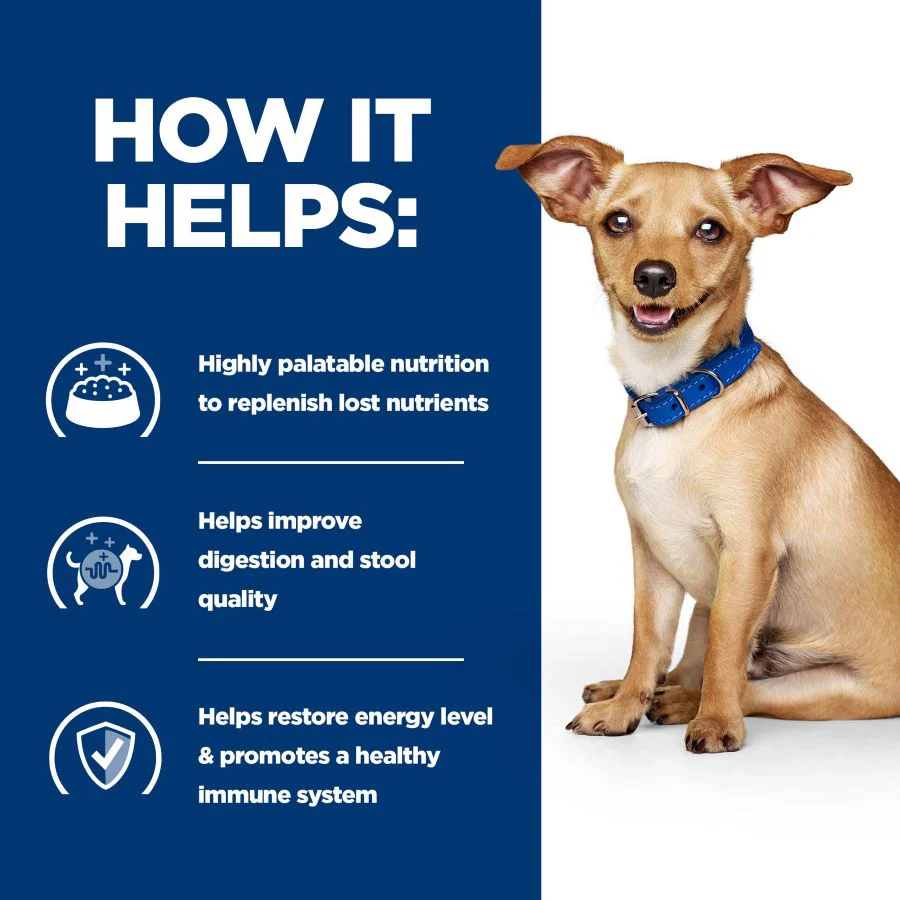 Hill's™ Prescription Diet™ i/d Chicken & Vegetable Stew Dog Food - Image 4
