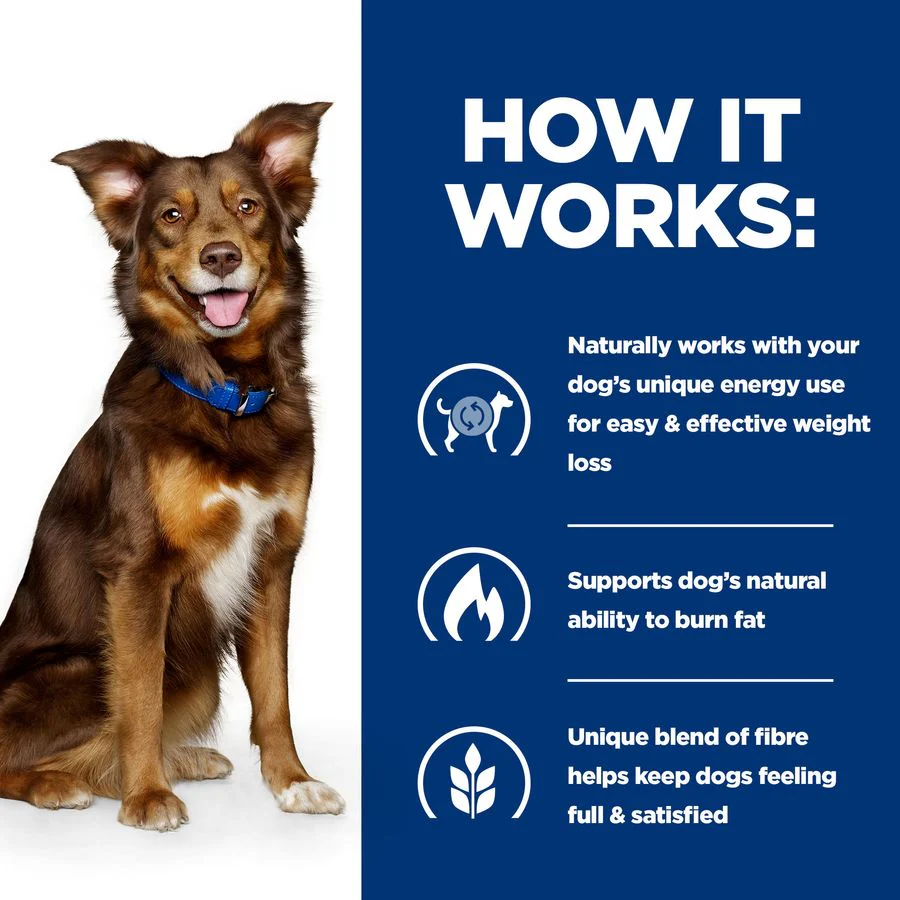 Hill's™ Prescription Diet™ Metabolic Weight Management Dry Dog Food with Lamb and Rice - Image 3