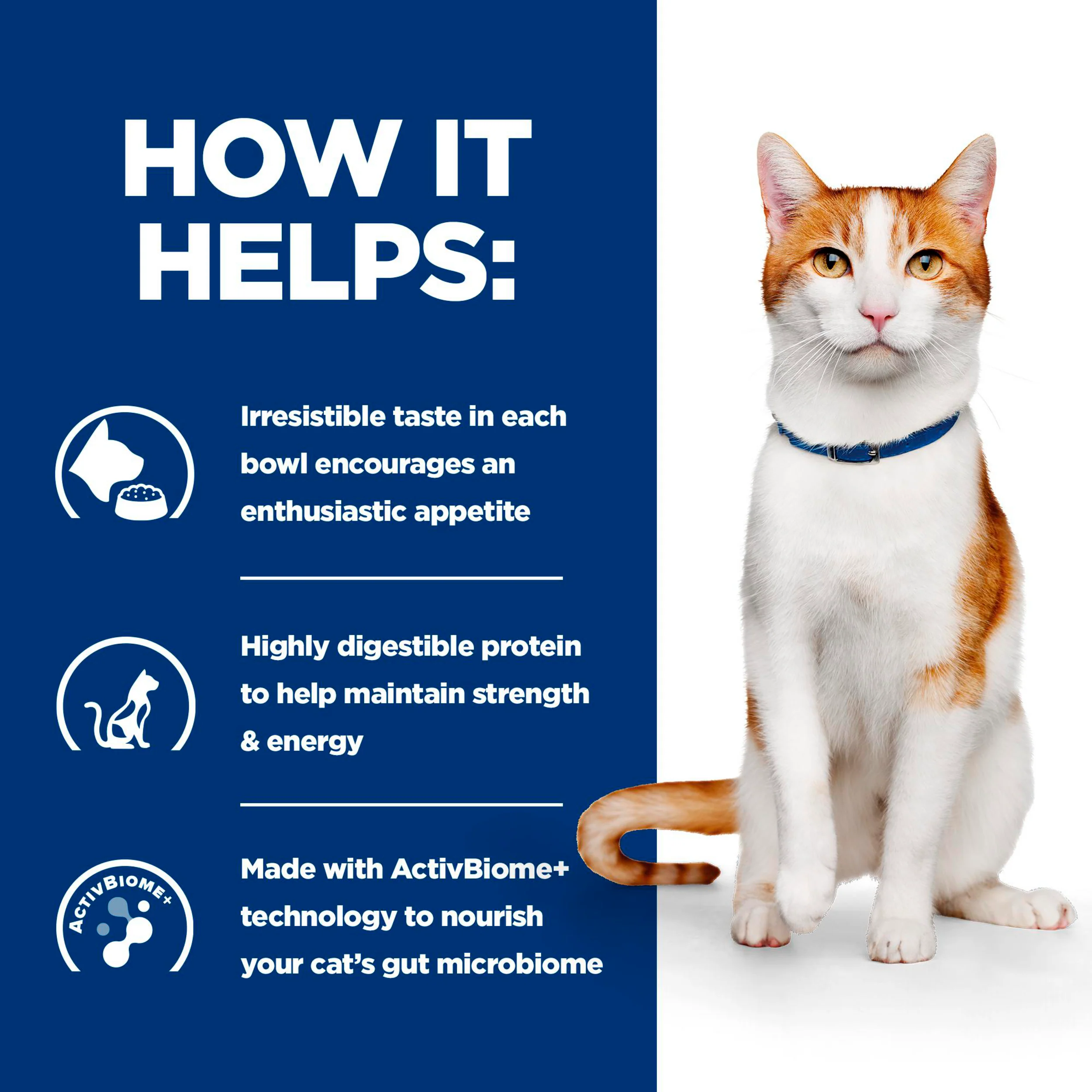 Hill's™ Prescription Diet™ ON-CARE Stew for Cats with Chicken & Added Vegetables - Image 4