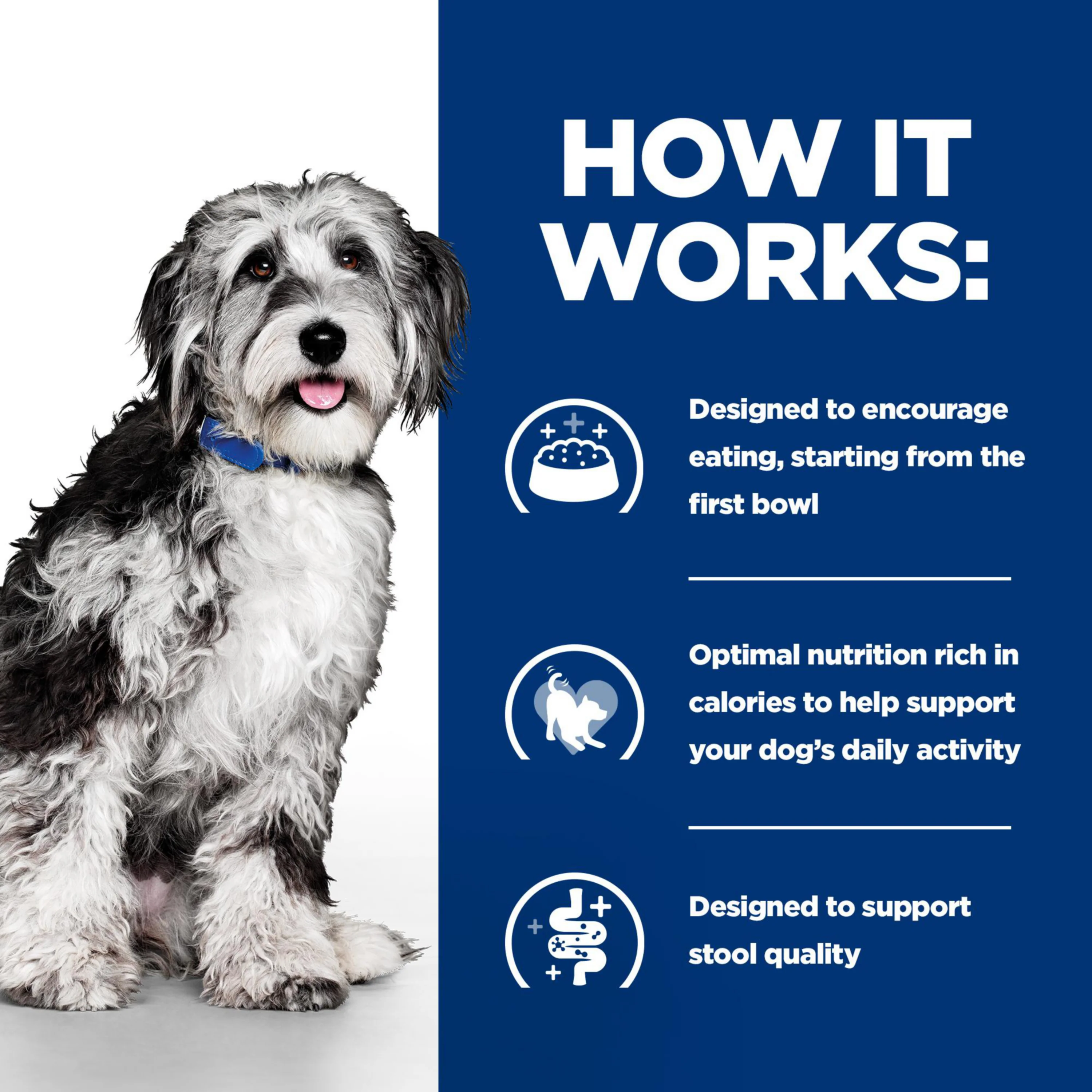 Hill's™ Prescription Diet™ ON-CARE Stew for Dogs with Chicken & added Vegetables - Image 4