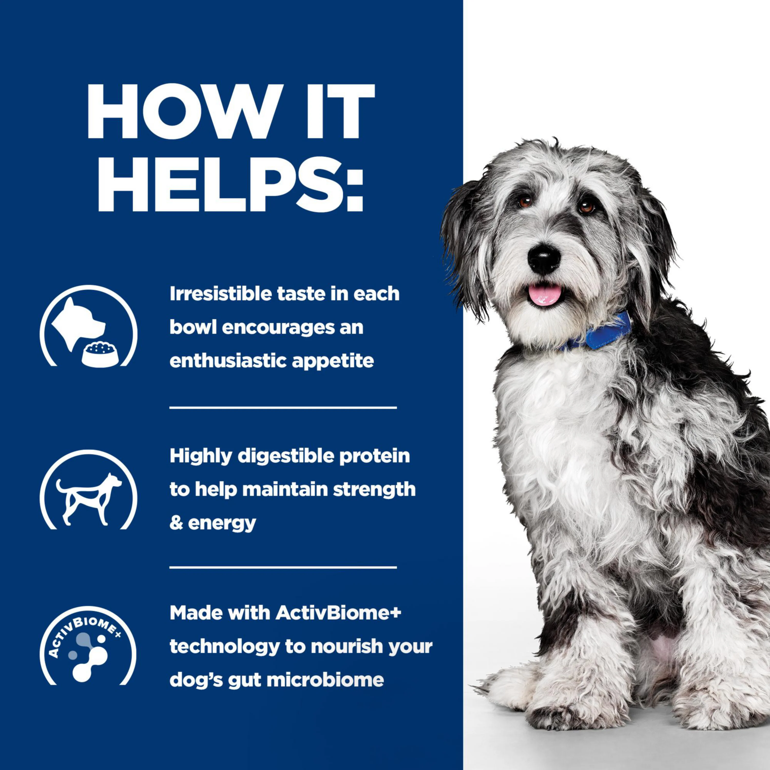 Hill's™ Prescription Diet™ ON-CARE Stew for Dogs with Chicken & added Vegetables - Image 5