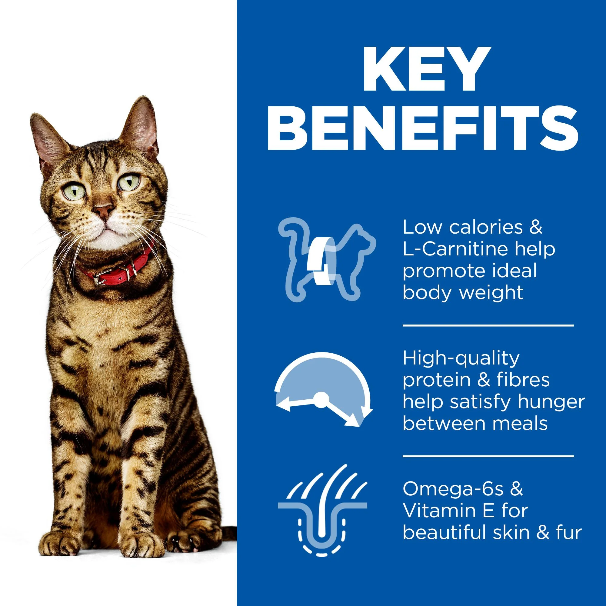Hill's™ Science Plan Adult Light Wet Cat Ocean Fish - Image 3