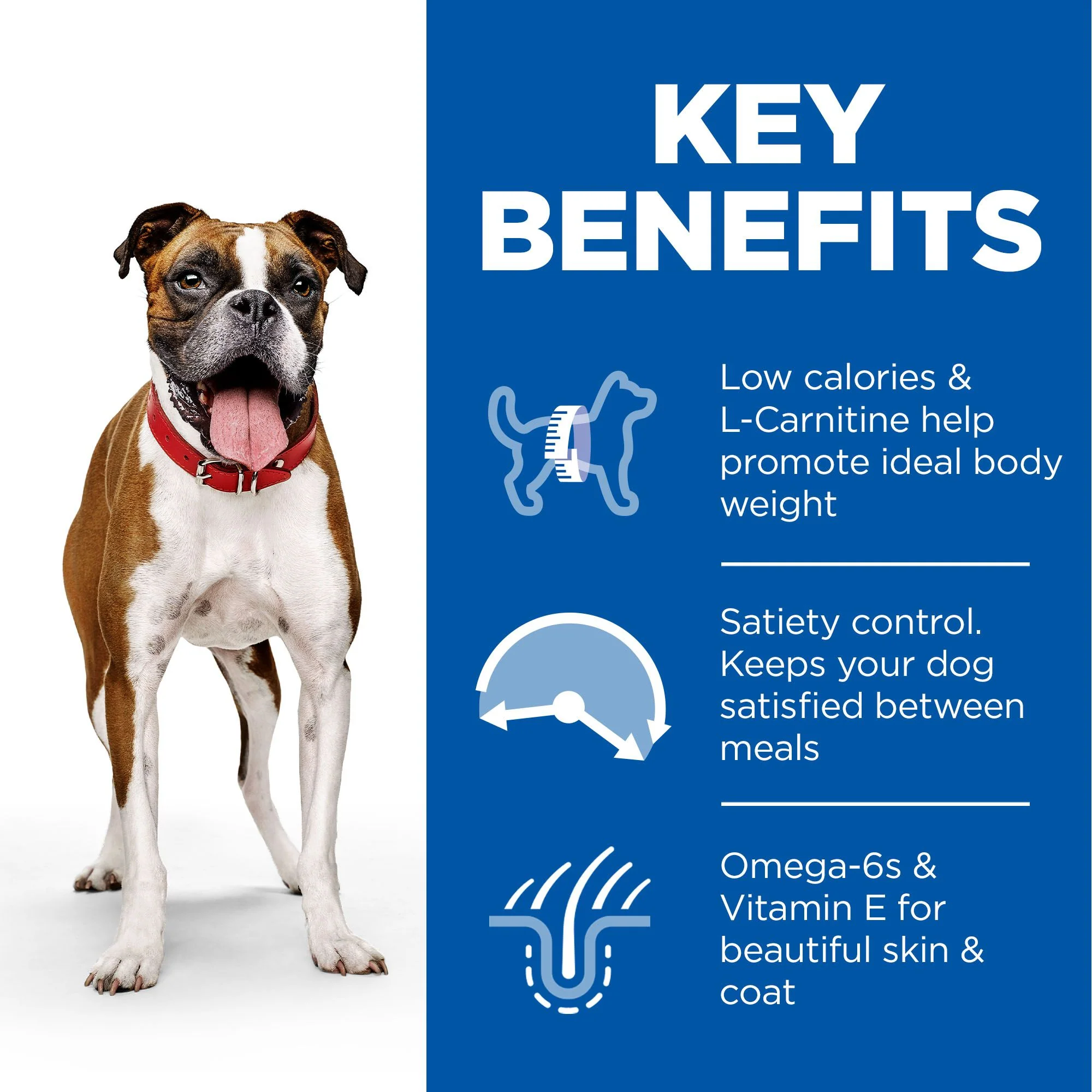 Hill's™ Science Plan Adult Light Wet Dog Food with Chicken - Image 4