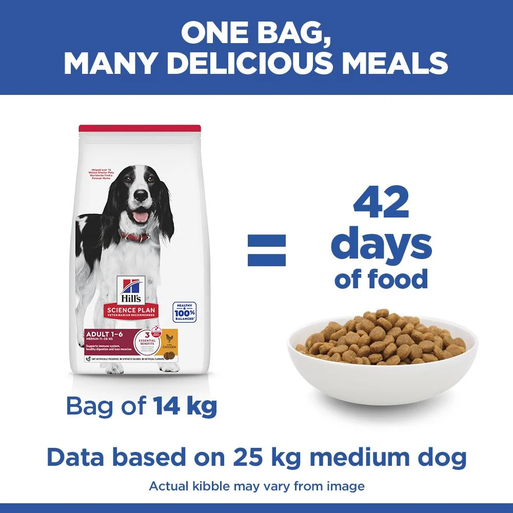 Hill's Science Plan Adult Medium Breed Dry Dog Food with Chicken - Image 4