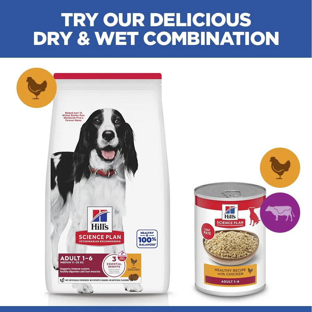 Hill's Science Plan Adult Medium Breed Dry Dog Food with Chicken - Image 5