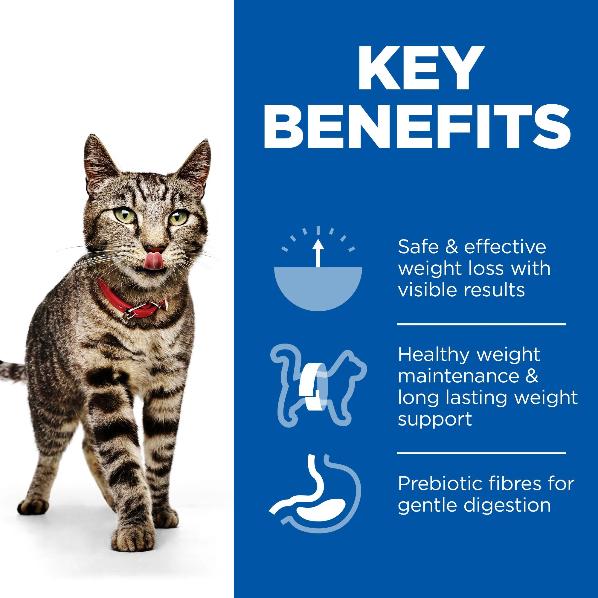Hill's™ Science Plan Adult Perfect Weight Wet Cat Food Multipack Chicken & Salmon - Image 3