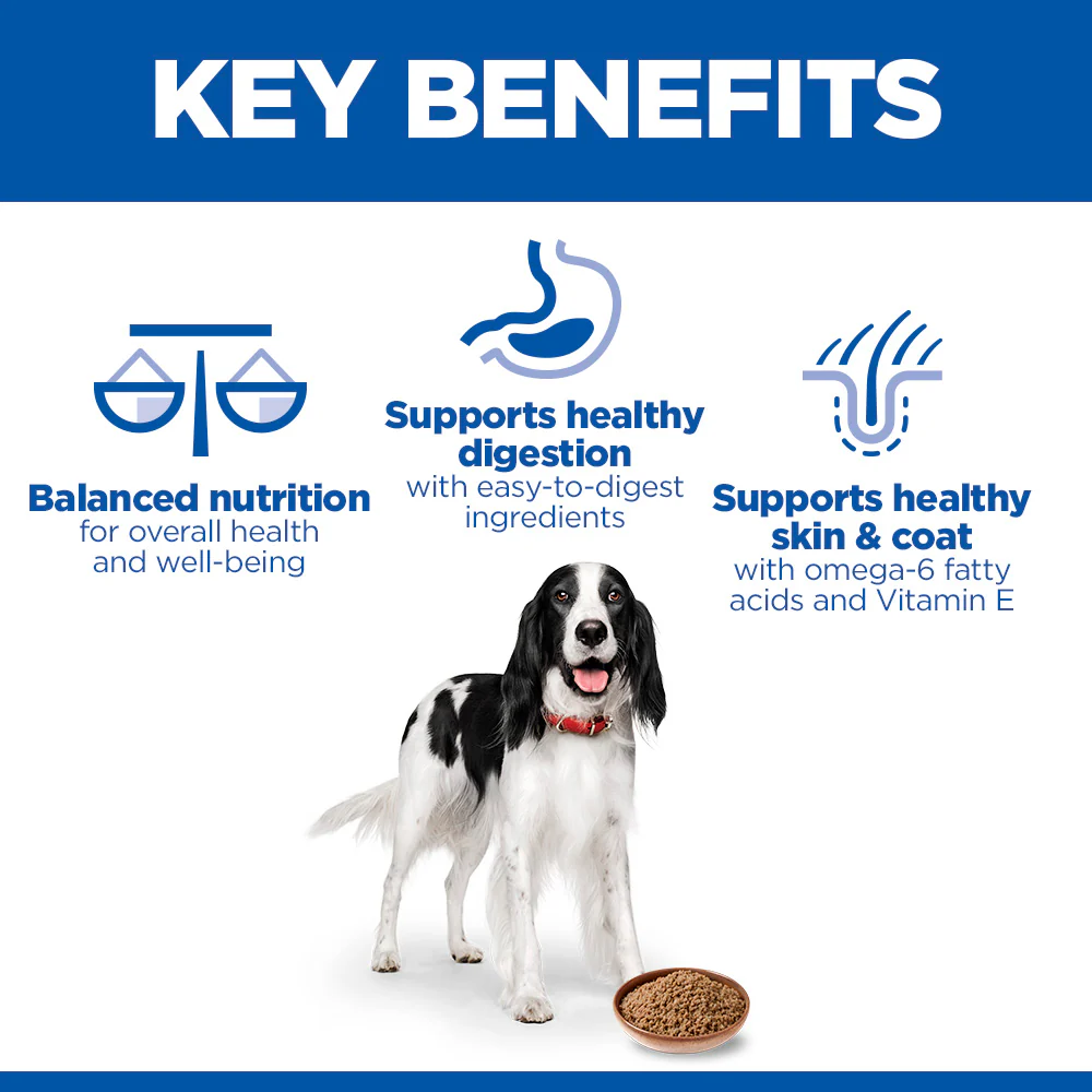 Hill's™ Science Plan Adult Wet Dog Food with Beef - Image 3