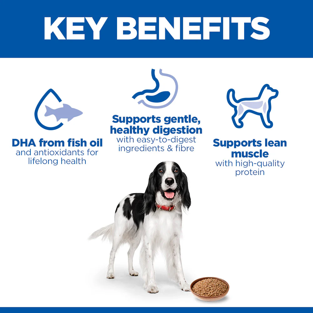 Hill's™ Science Plan Adult Wet Dog Food with Chicken - Image 3