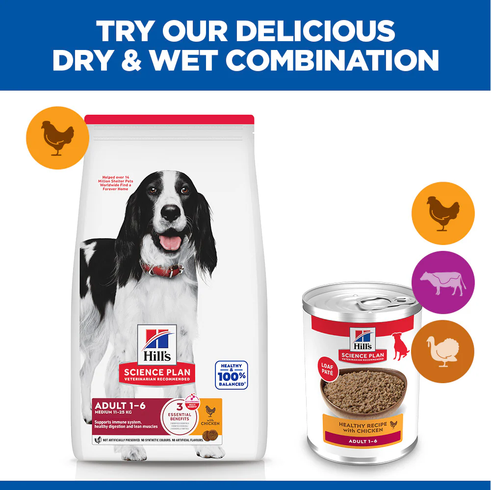 Hill's™ Science Plan Adult Wet Dog Food with Chicken - Image 4