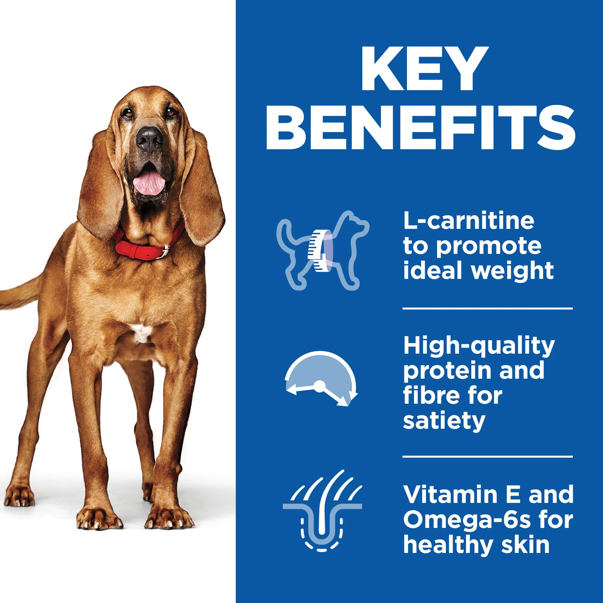 Hill's™ Science Plan Mature Adult 7+ Light Medium Dry Dog Food Chicken Flavour 14kg - Image 3