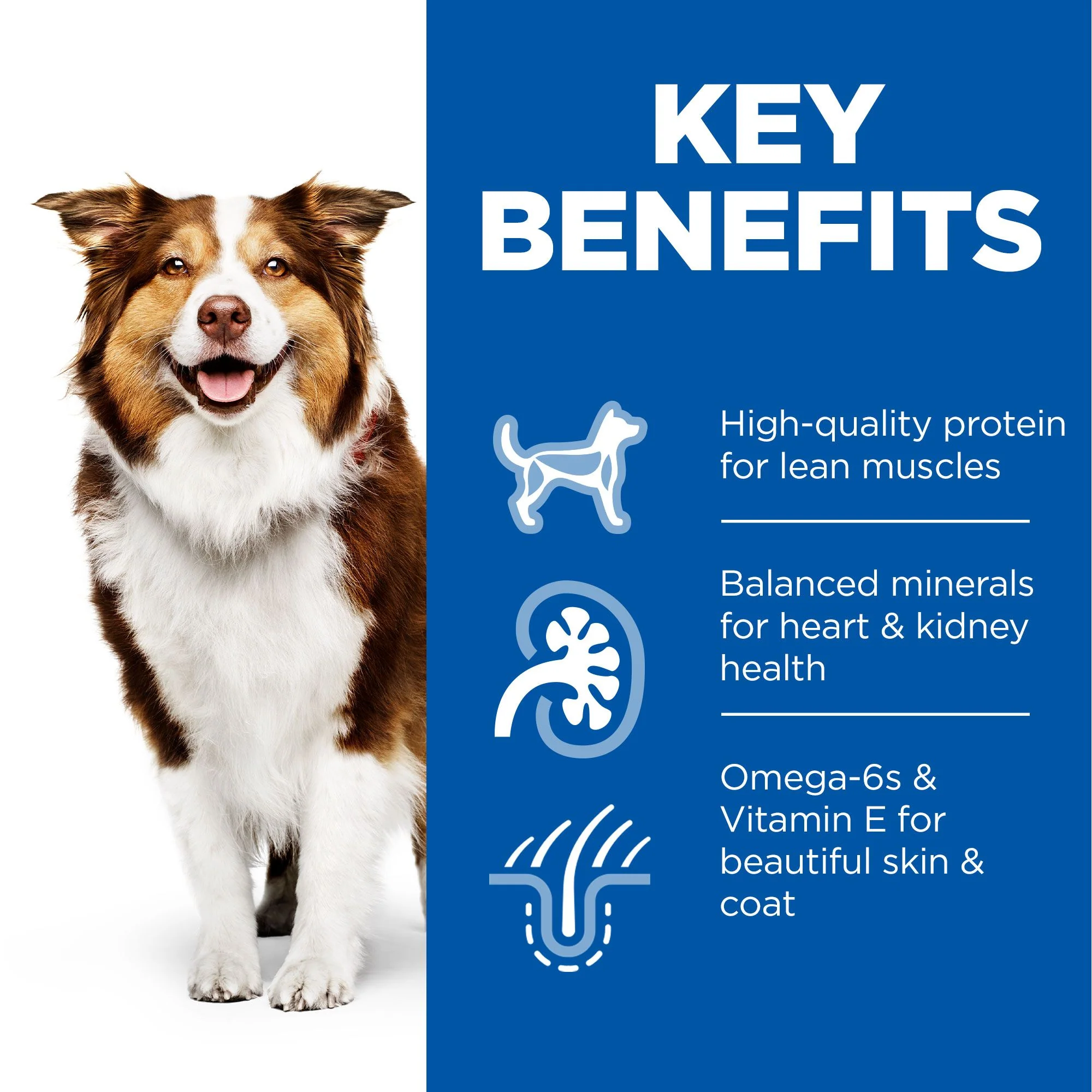 Hill's™ Science Plan Mature Adult 7+ Wet Dog Food with Chicken - Image 3