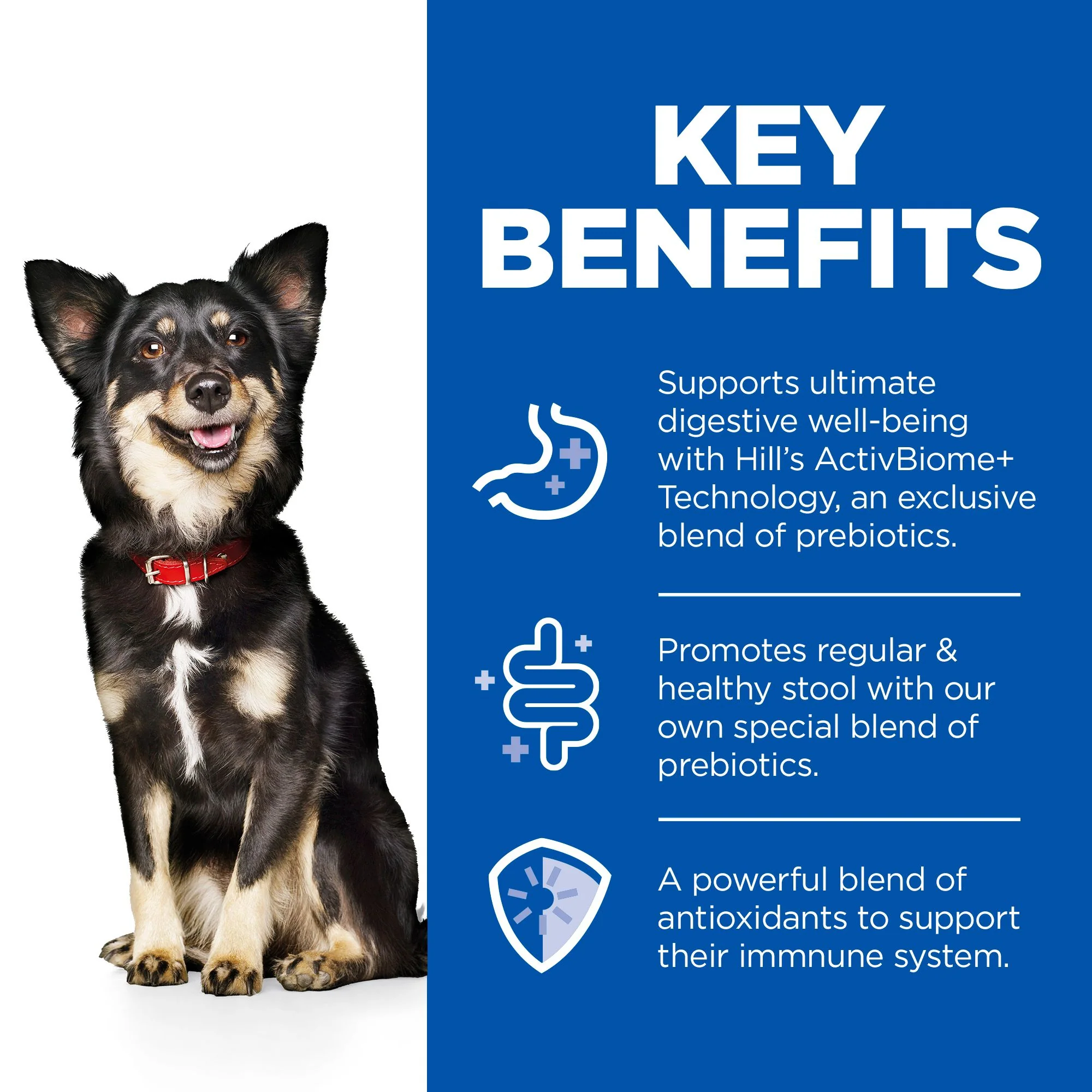 Hill's™ Science Plan Perfect Digestion Adult Small & Mini Dog Mousse with Turkey - Image 3