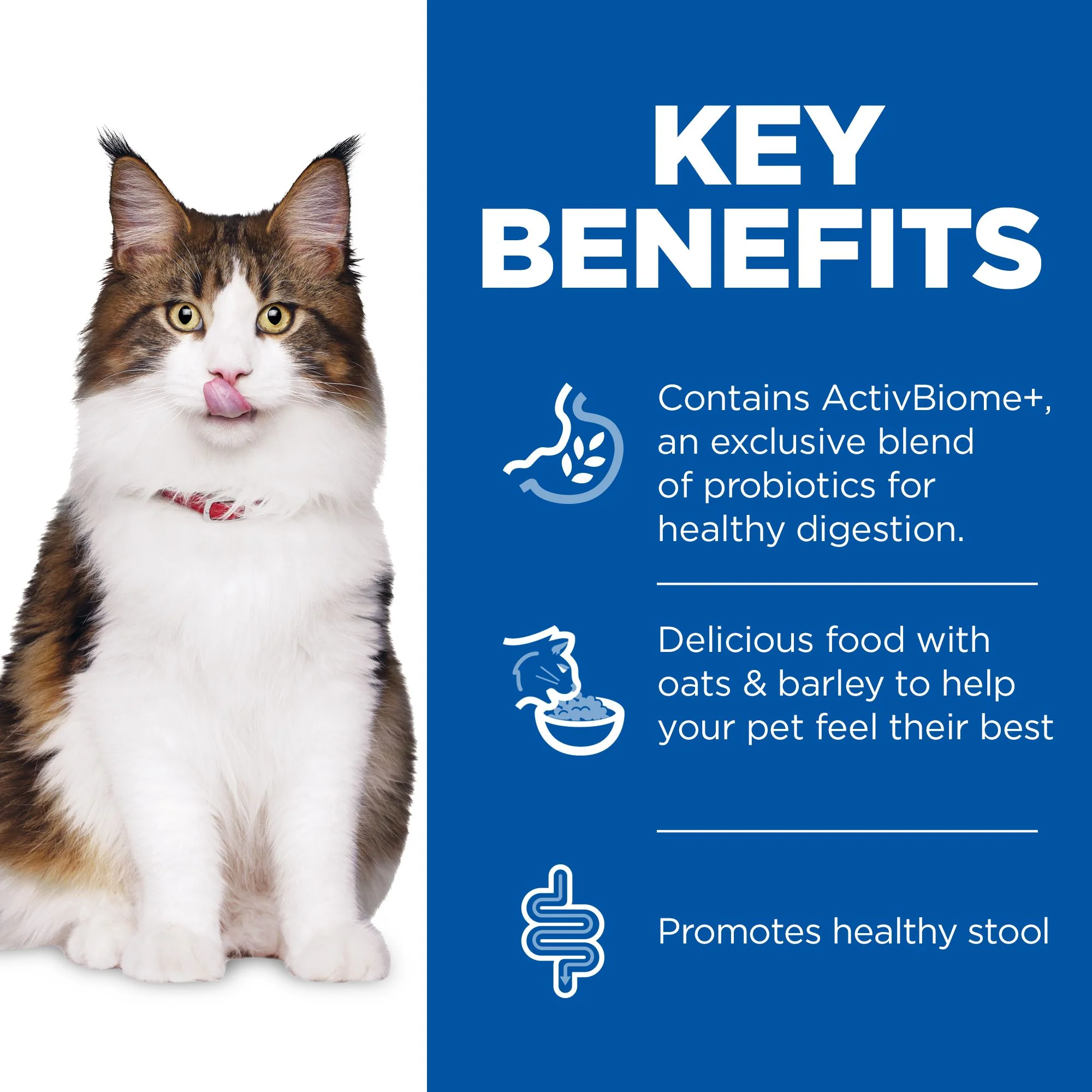 Hill'sâ„¢ Science Plan Perfect Digestion Adult Wet Cat Food with Chicken - Image 4