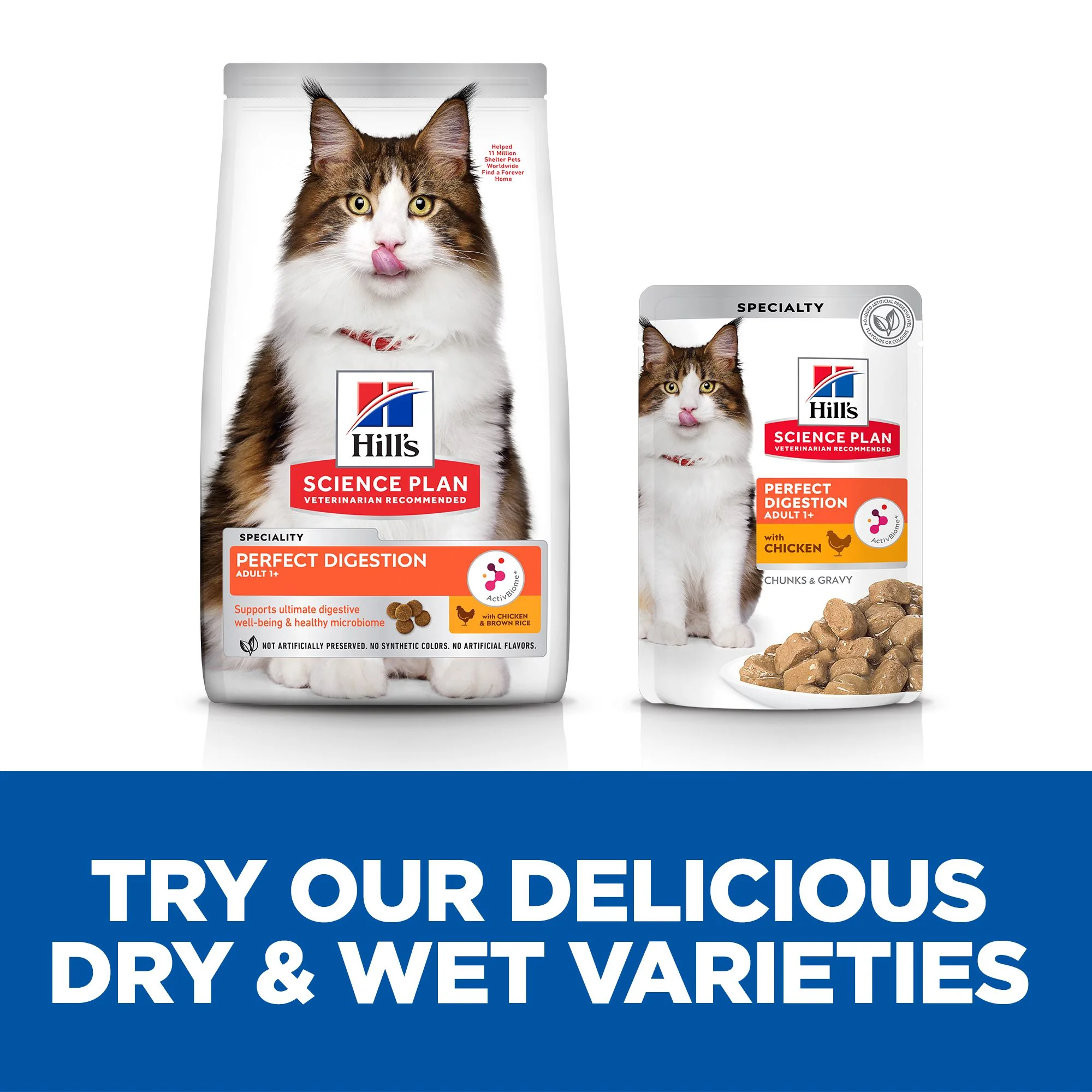 Hill'sâ„¢ Science Plan Perfect Digestion Adult Wet Cat Food with Chicken - Image 5