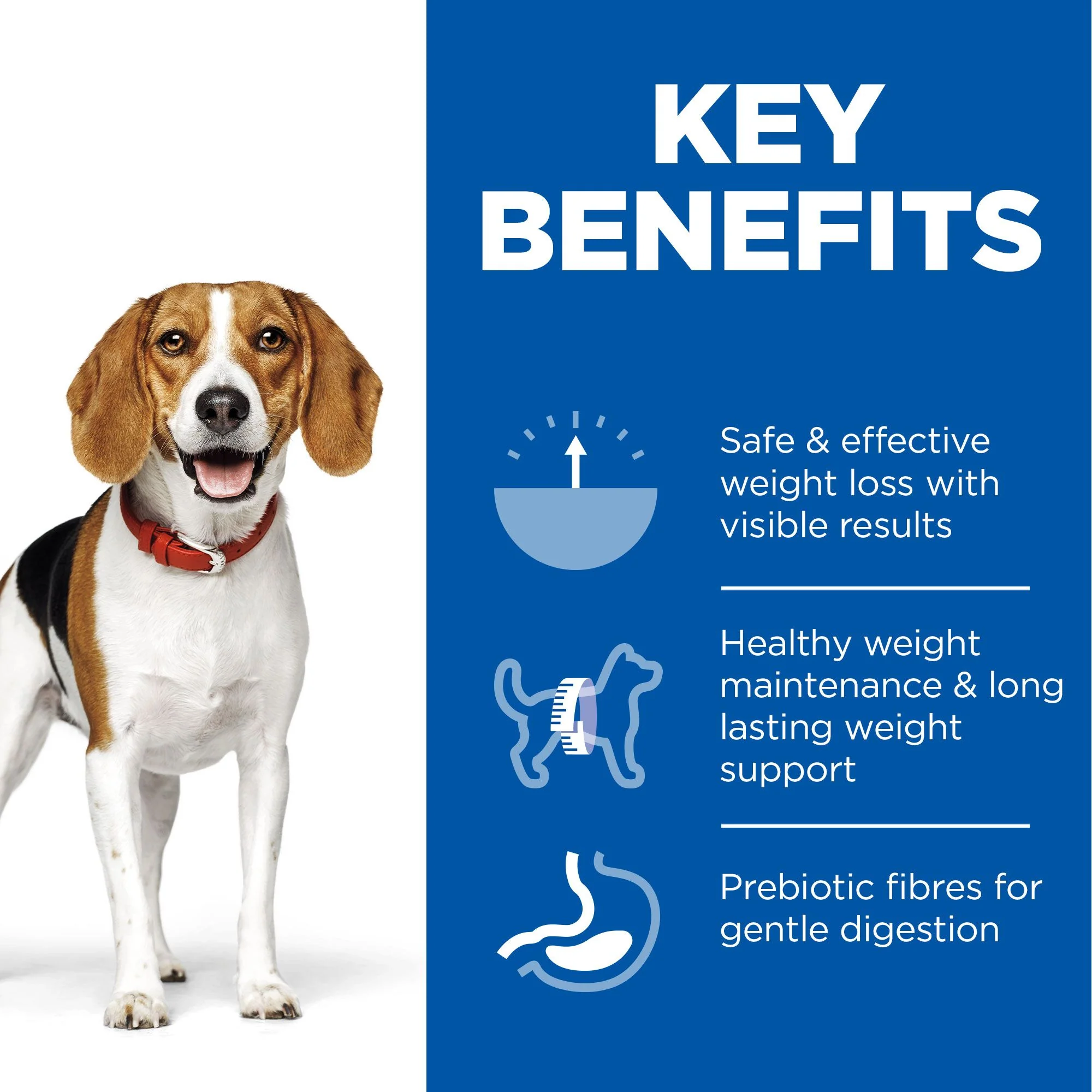 Hill's™ Science Plan Perfect Weight Adult Wet Dog Food with Chicken & Vegetables - Image 3