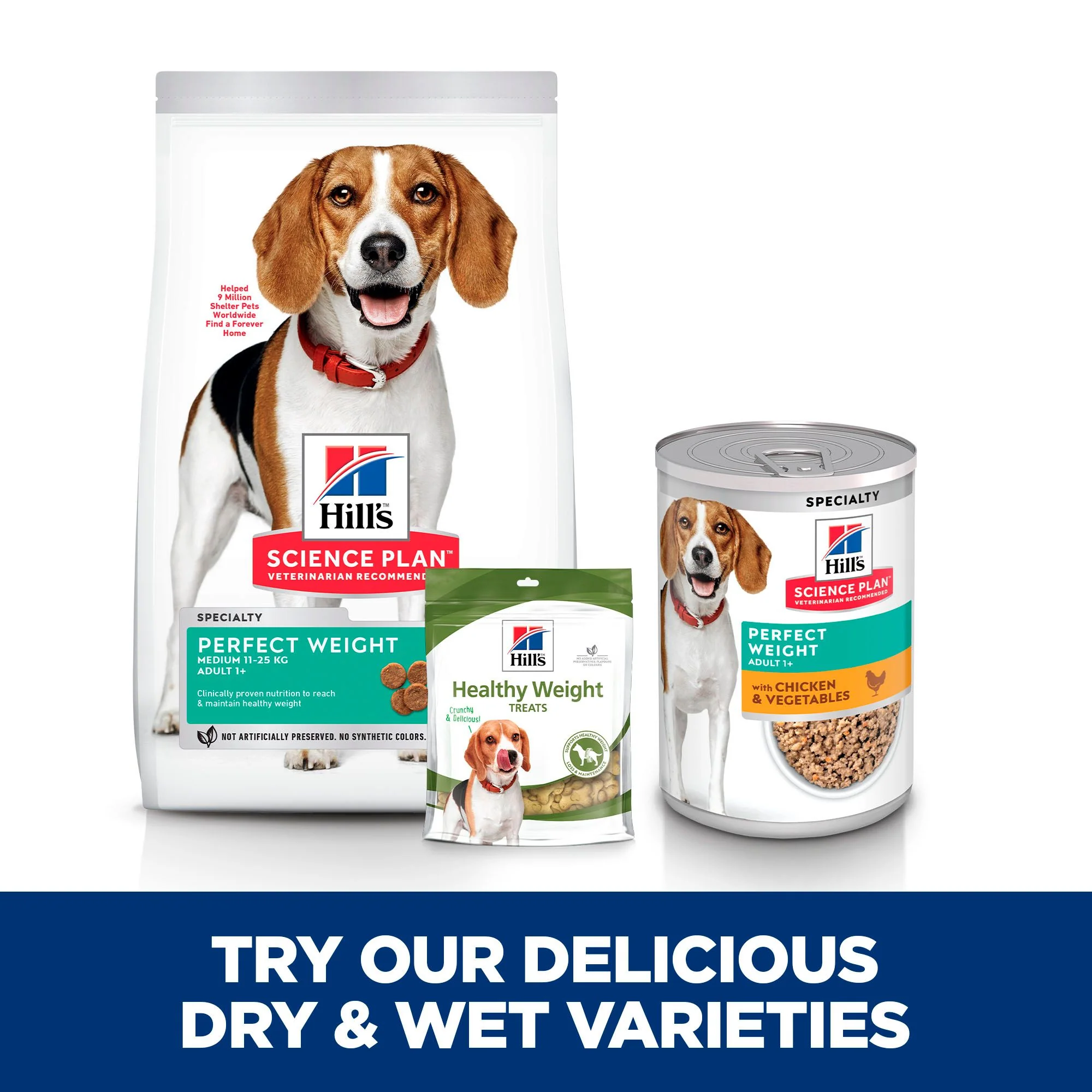 Hill's™ Science Plan Perfect Weight Adult Wet Dog Food with Chicken & Vegetables - Image 4