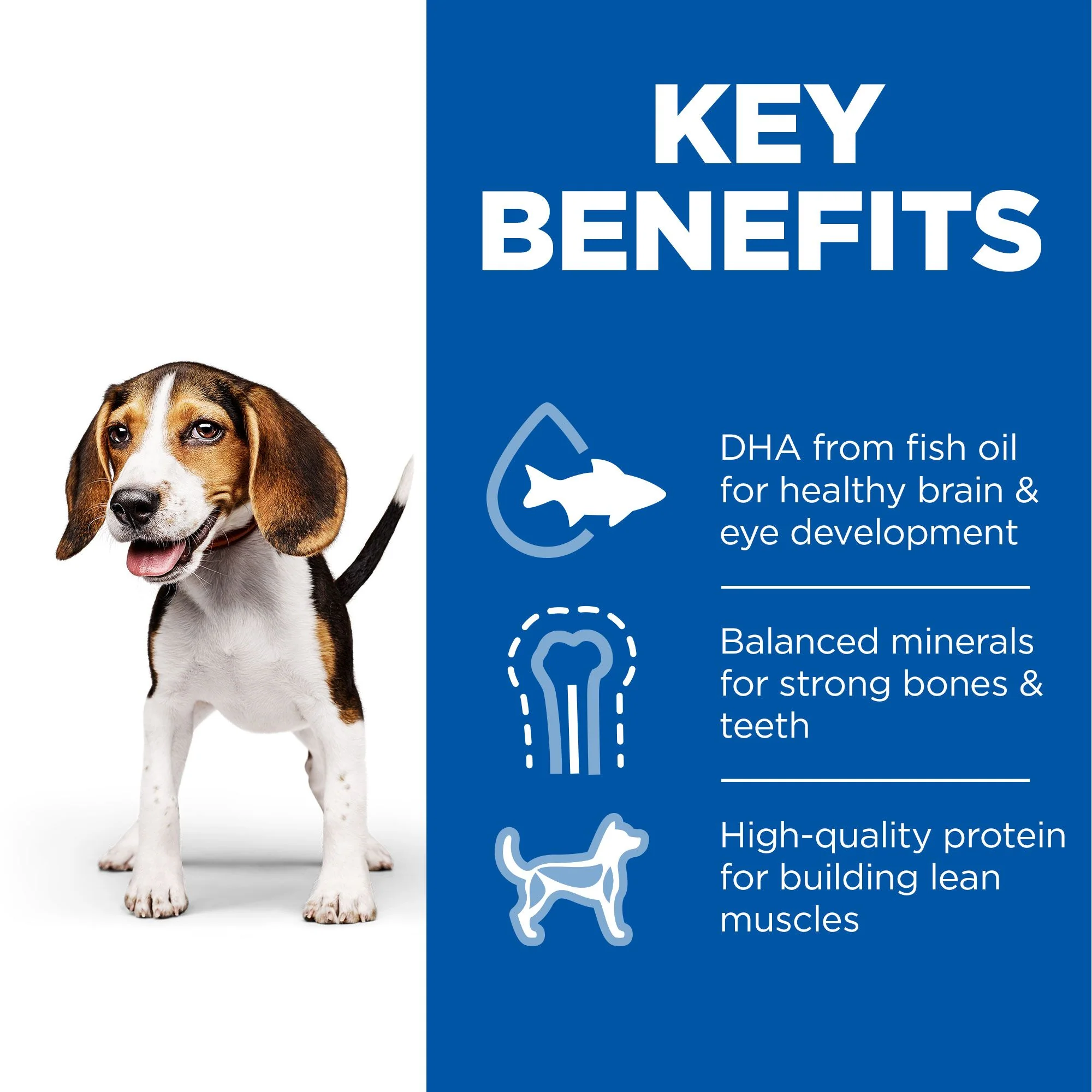 Hill's™ Science Plan Puppy Wet Food with Chicken - Image 4