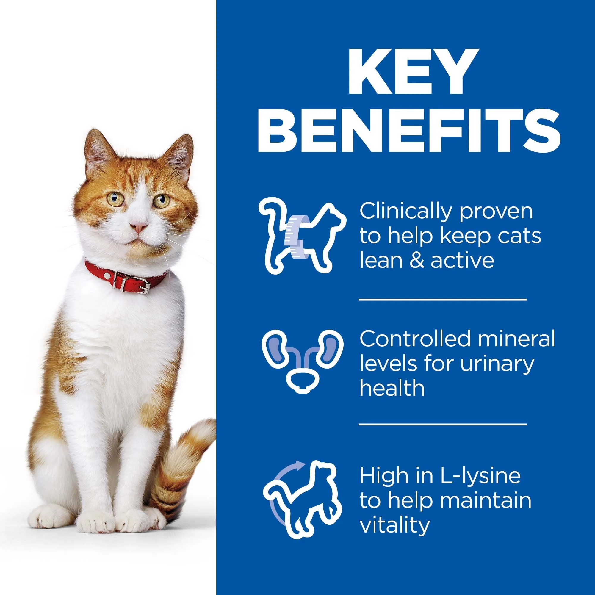 Hill's™ Science Plan Sterilised Adult Wet Cat Food Chicken, Salmon, Trout & Turkey - Image 3