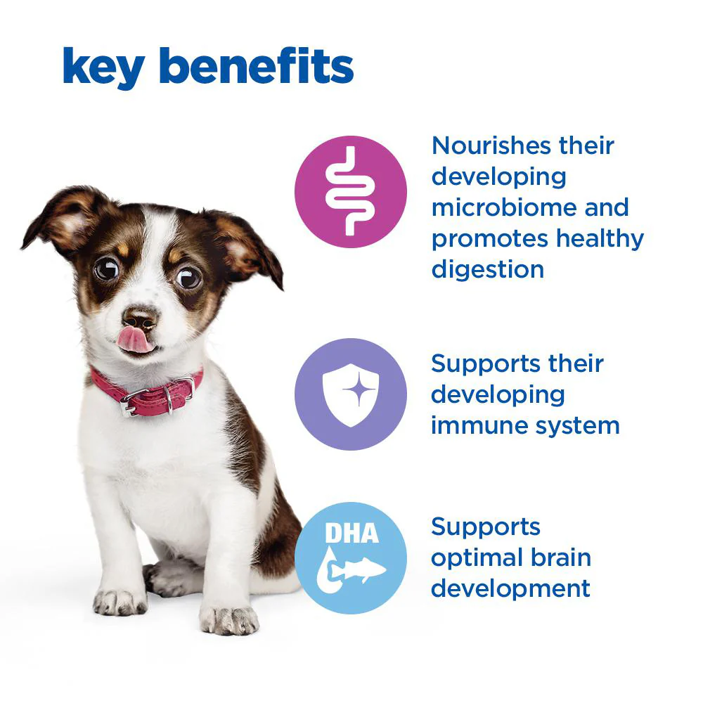 Hill'sâ„¢ VET ESSENTIALSâ„¢ MULTI-BENEFIT Puppy Wet Food Tender Chicken - Image 4