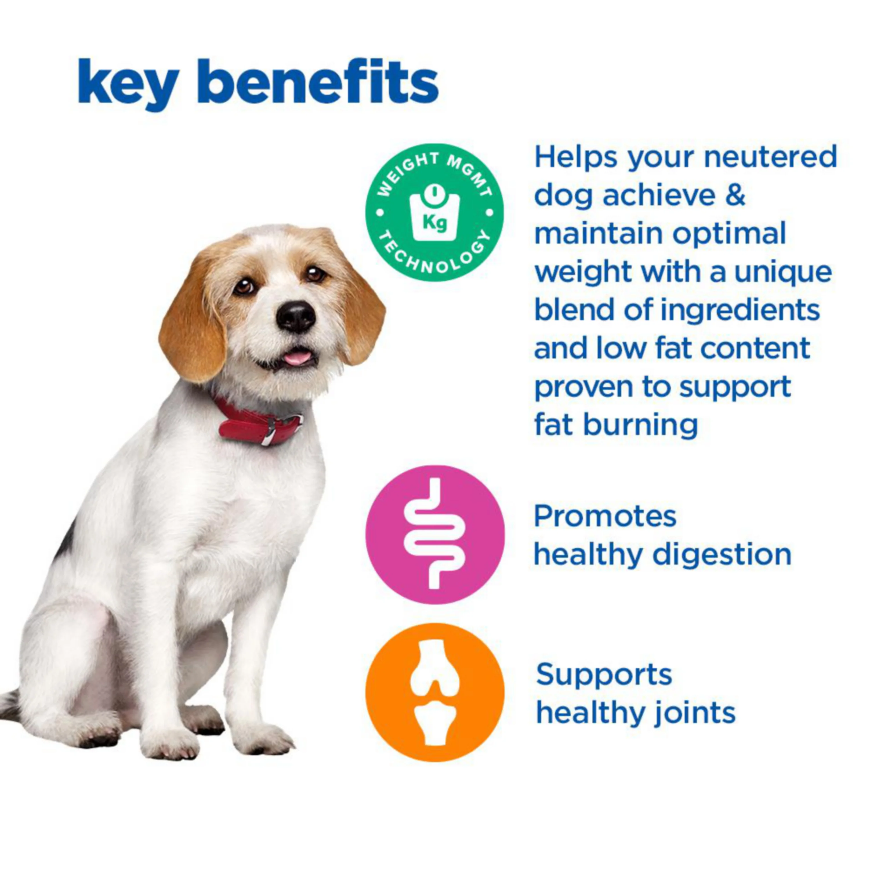 Hill's™ VET ESSENTIALS™ MULTI-BENEFIT + WEIGHT Adult 1+ Wet Dog Food with Tender Chicken - Image 3