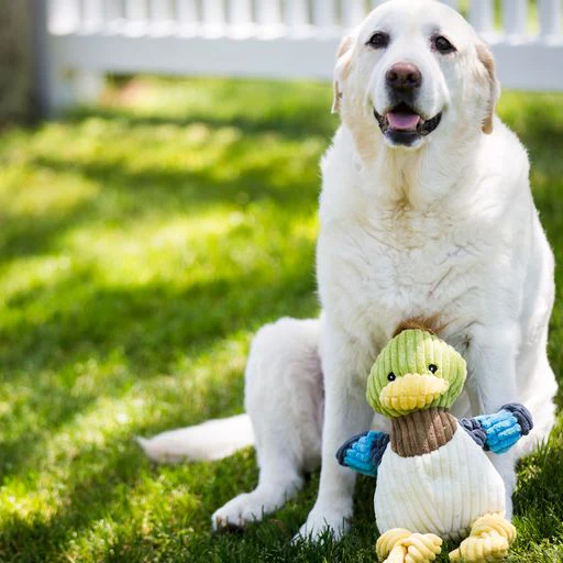 Hugglehounds Duck Small - Image 8