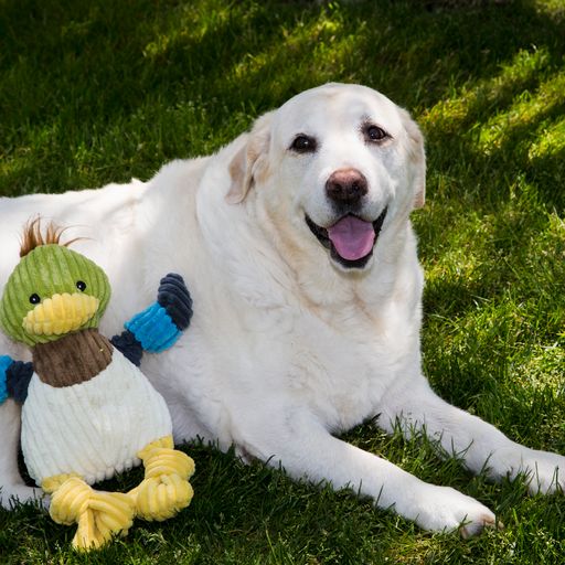 Hugglehounds Duck Small - Image 9