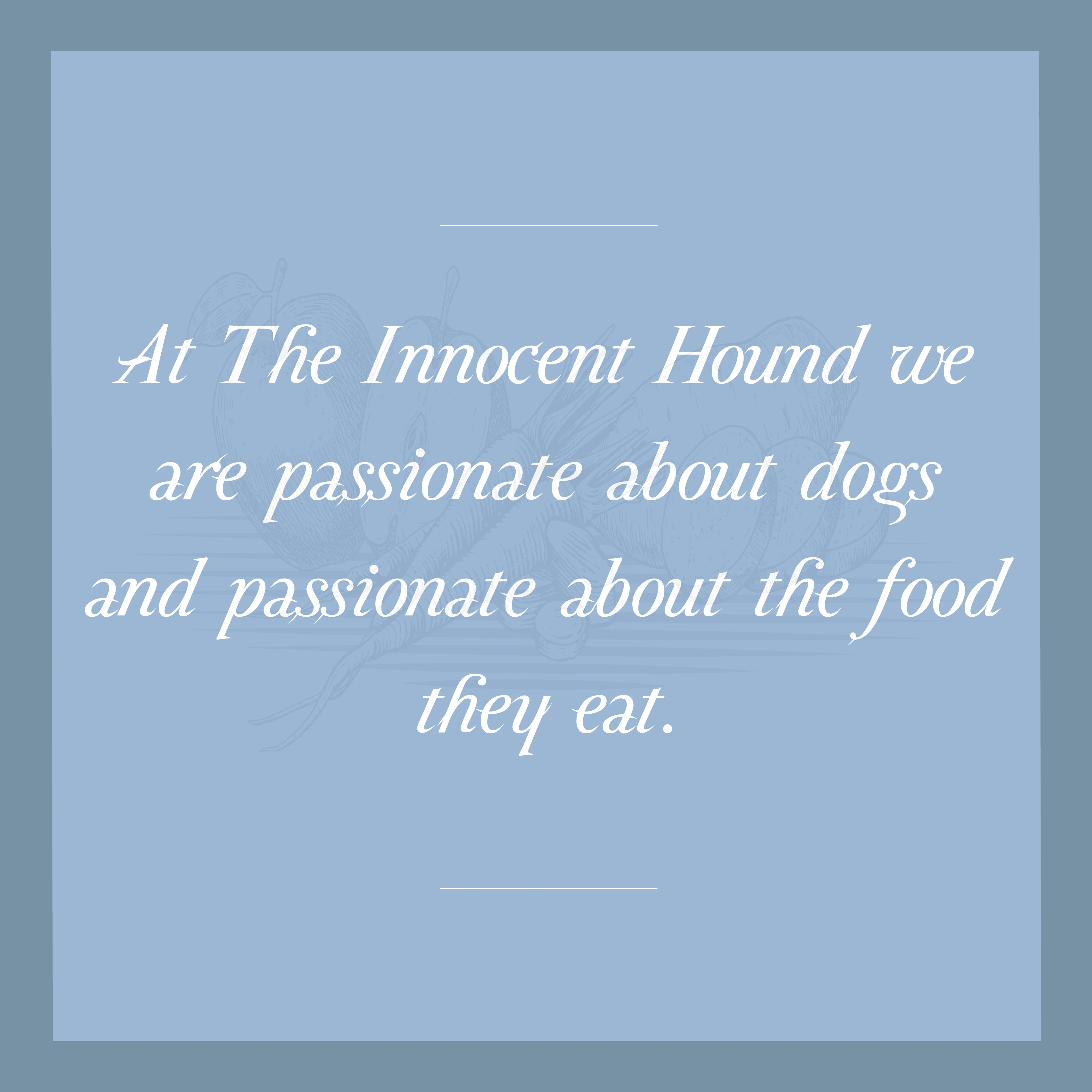 Innocent Hound Puppy Training Treats Lamb with Yellow Split Pea - Image 11