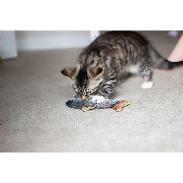 Jolly Moggy 100% Natural Catnip Trout - Image 6