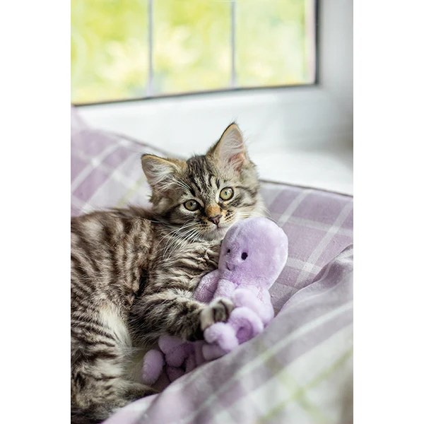 Jolly Moggy Under the Sea Octopus Cat Toy - Image 5