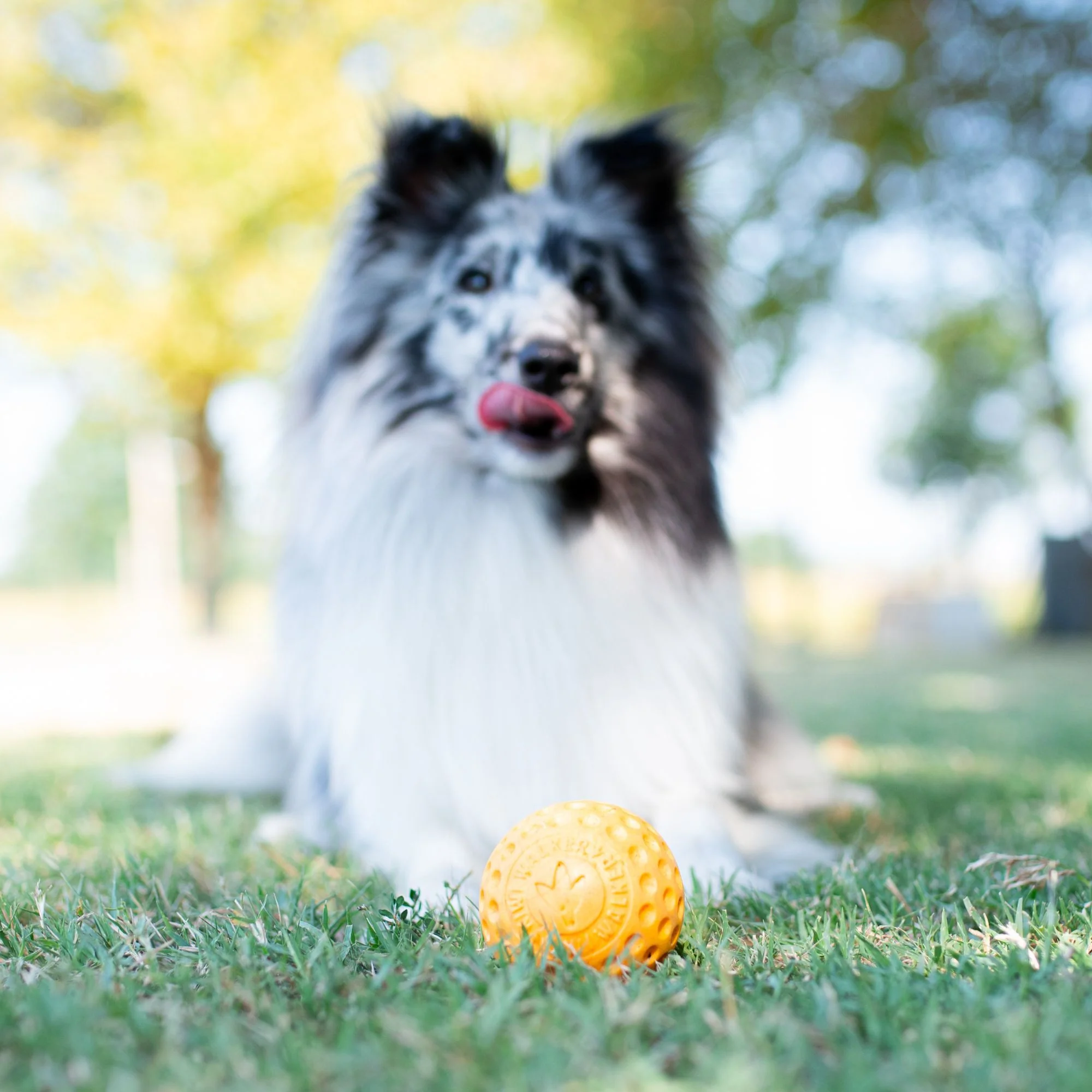 Kiwi Walker Let's Play! Ball Orange (2 sizes) - Image 3