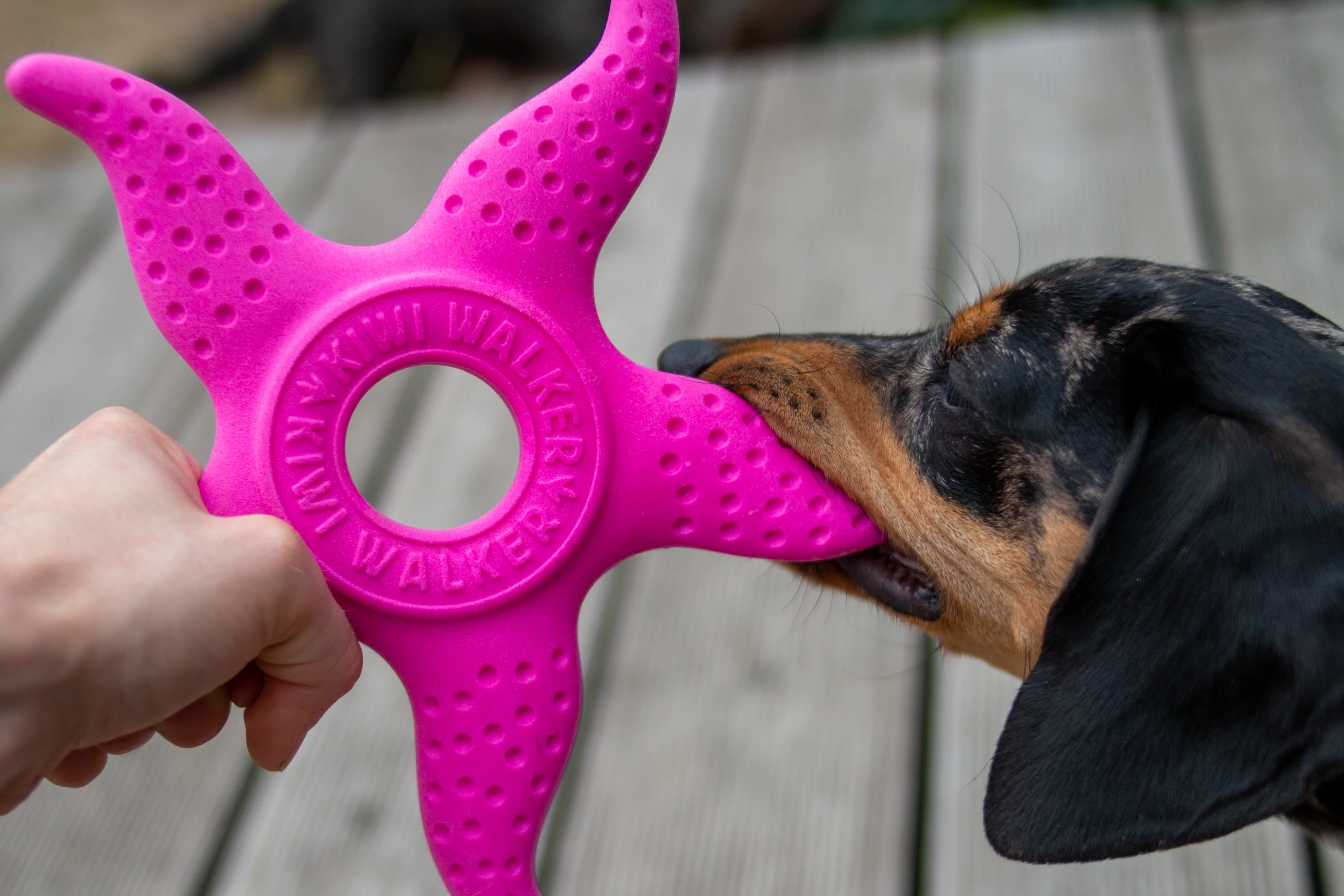 Kiwi Walker Let's Play! Octopus & Starfish Orange - Image 7